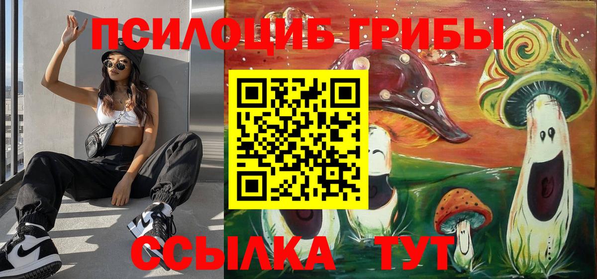 даркнет сайт  Вход с VPN  Камышин  Галлюциногенные грибы мицелий 