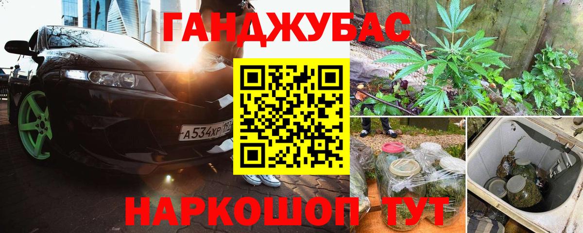 Камышин  Каннабис тримм  Вход с VPN  Бошки марихуана гибрид  Марихуана Bruce Banner 